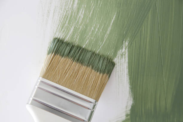 Trusted Forest Oaks, NC Mold Removal Experts