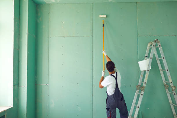 Best Basement Mold Removal  in Forest Oaks, NC