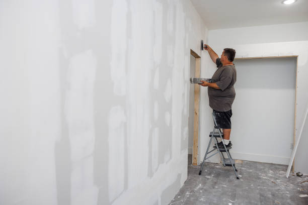 Best Forensic Mold Investigation  in Forest Oaks, NC