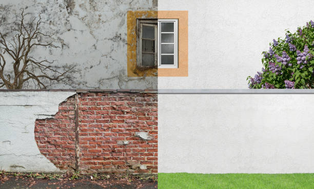 Best Industrial Mold Remediation  in Forest Oaks, NC