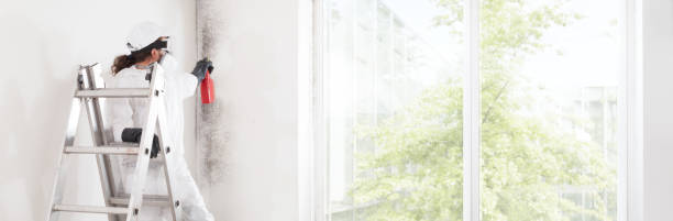 Best Water Damage & Mold Remediation  in Forest Oaks, NC
