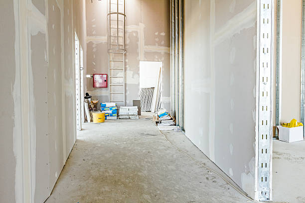 Best Comprehensive Air Testing for Mold Contaminants  in Forest Oaks, NC