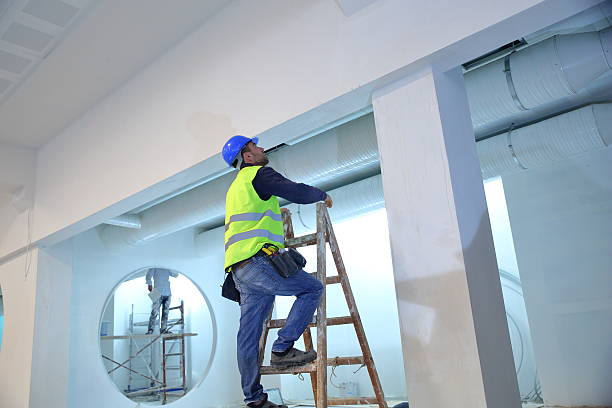 Best Airborne Mold Testing  in Forest Oaks, NC