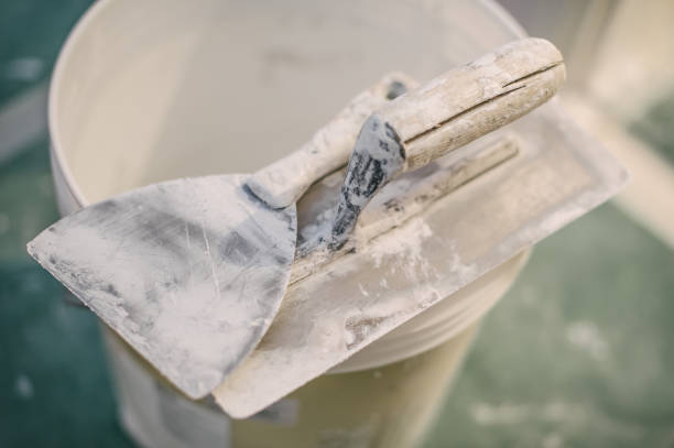 Biohazard Mold Removal in Forest Oaks, NC
